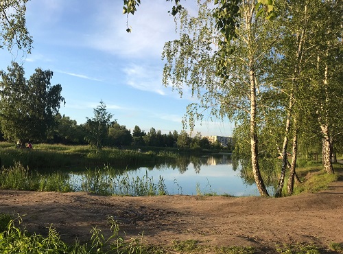 Омичи смогут отдыхать у озера в парке 30-летия ВЛКСМ без комаров