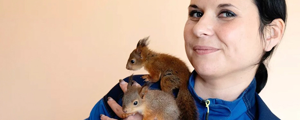 Сотрудница Кавказского заповедника "усыновила" бельчат