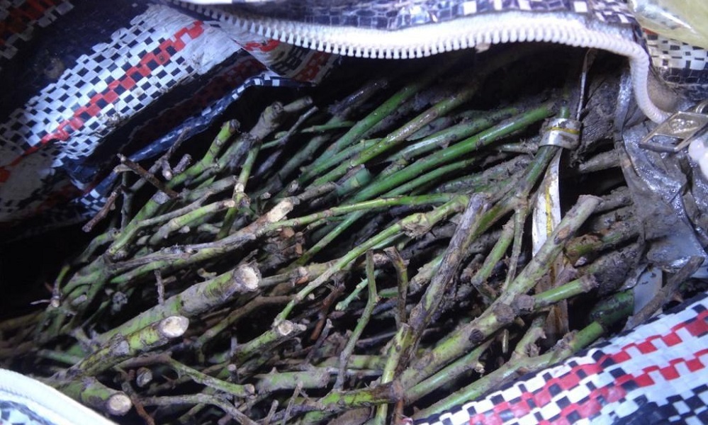 В октябре в Омскую область не пропустили более 70 тонн нелегальной продукции 