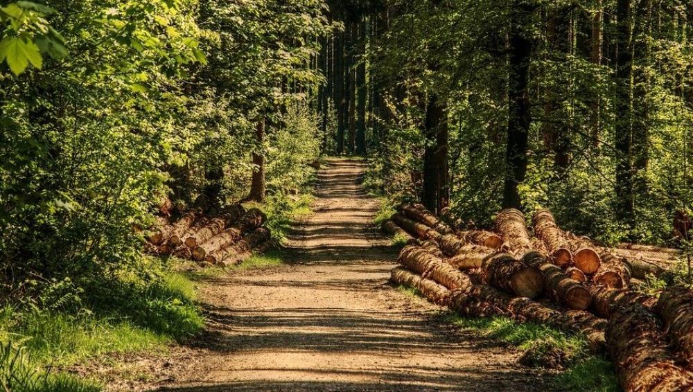 Несколько районов Омской области наградят за развитие туристических маршрутов 