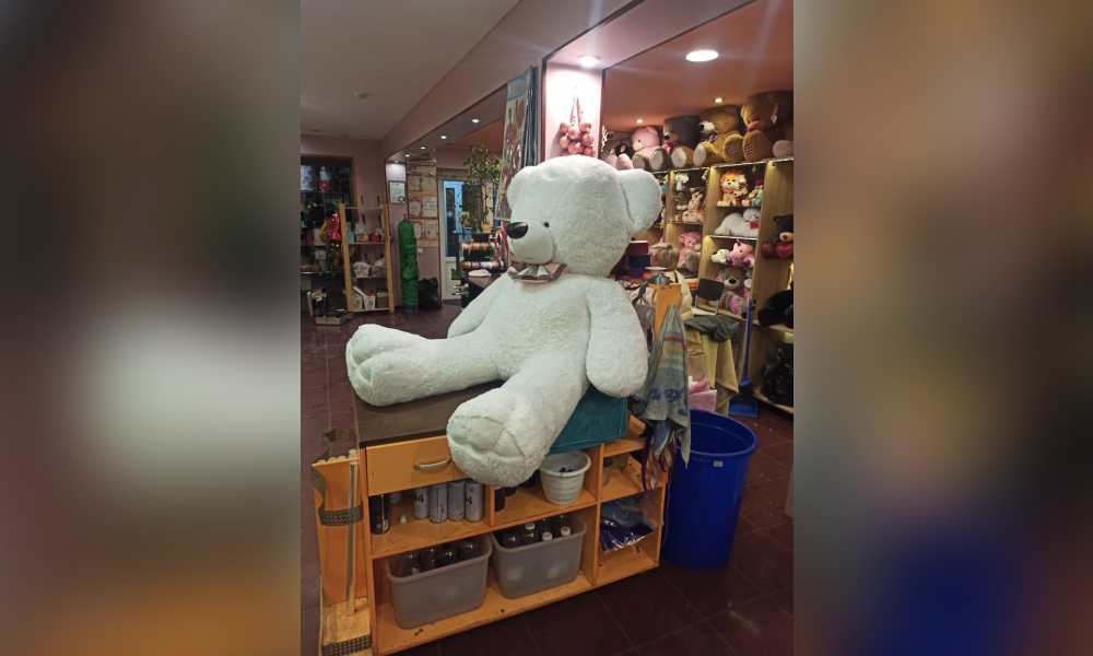 В Омске полицейские раскрыли кражу плюшевого медведя из цветочного магазина