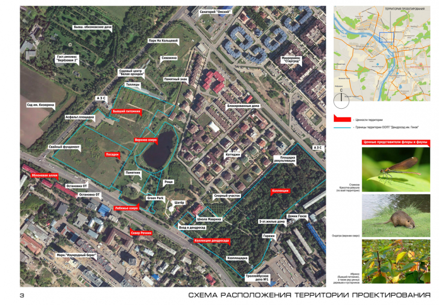 "Большая поляна" и питомник: появилась концепция благоустройства омского дендросада имени Гензе
