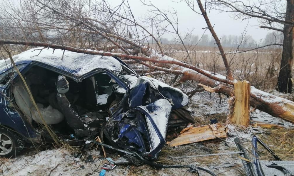В Омской области в ДТП погиб пассажир ВАЗа 