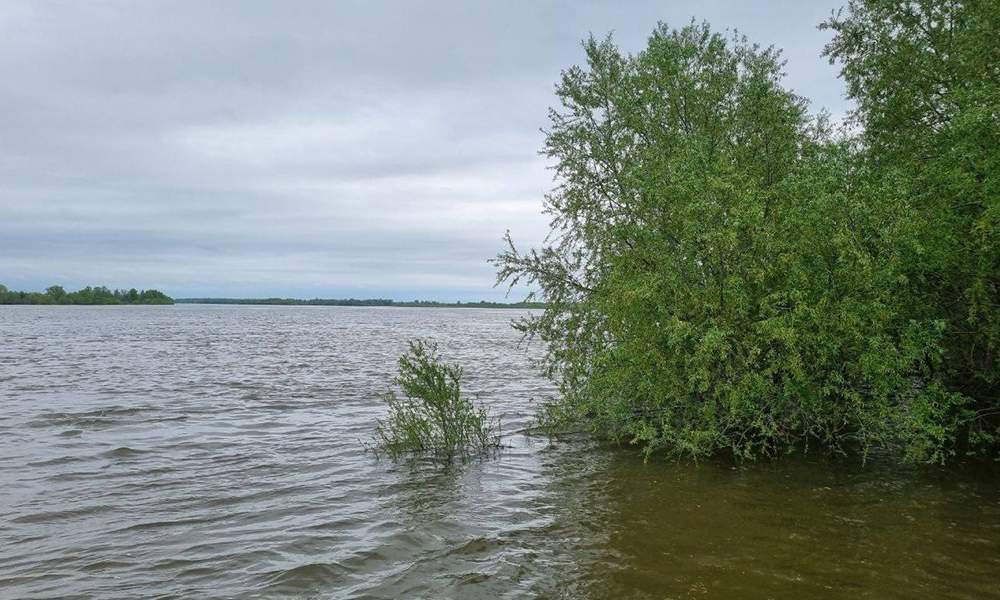 Виталий Хоценко сообщил, что в трёх сёлах Омской области, из которых ушла вода, завершена дезинфекция