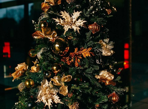 Стали известны места продажи новогодних елей