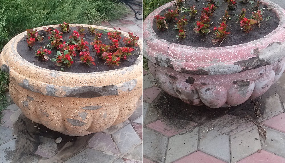 В мэрии пообещали отремонтировать разбитые вазоны в омском сквере Молодожёнов