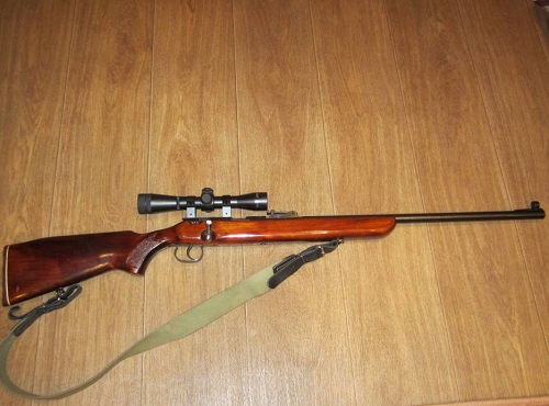 Депутата из Омской области осудят за хранение винтовки