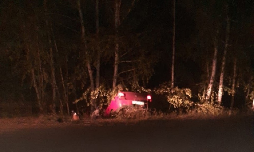 В Омской области пьяный водитель врезался в дерево, из-за чего погиб его друг