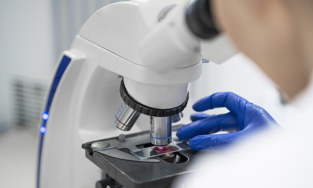 Учёные московских университетов применяют новаторский подход к терапии раковых клеток