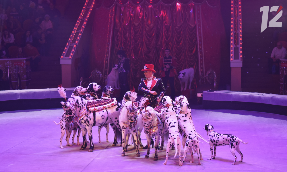 Семьи участников СВО из Октябрьского округа Омска получили пригласительные билеты в цирк