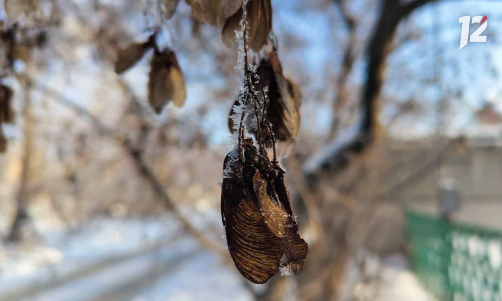 Омичей предупредили об аномально тёплой весне