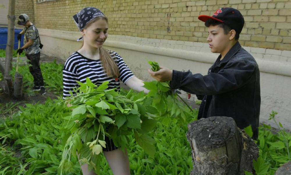 В Омске на летние каникулы трудоустроят более 1,7 тысячи старшеклассников