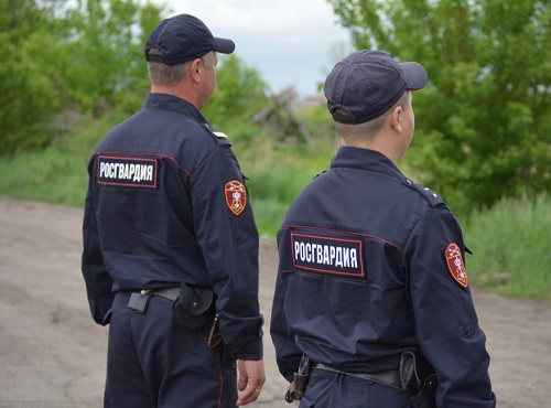 Омича поймали в поле при сборе конопли