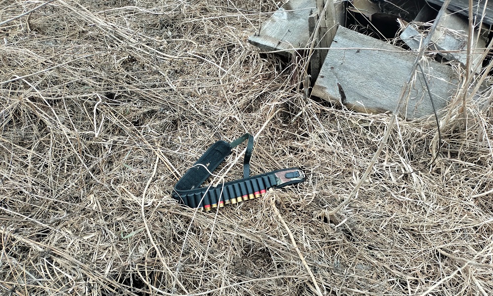 В Омской области браконьеры охотились на бобров: возбуждено уголовное дело 