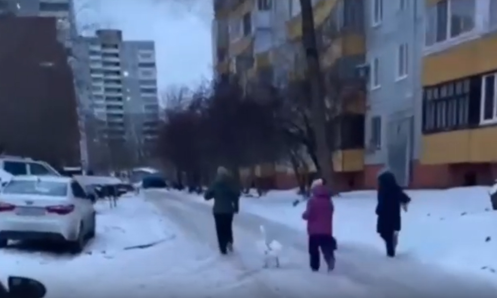 В Омске дети выгуливали на поводке домашнего гуся