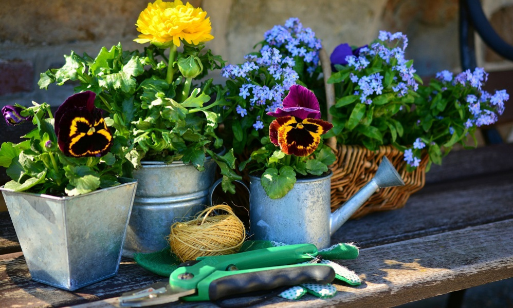 Для проведения ярмарки «Осенний сад» предпринимателям предоставят бесплатные торговые места 