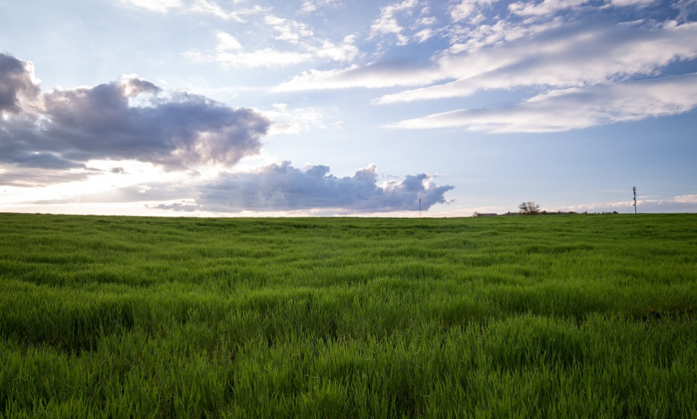 В Омском районе выставили на торги коттеджный посёлок 