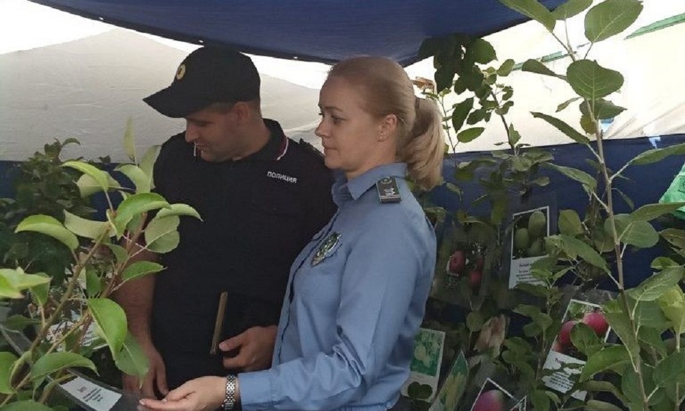 Омичей предупреждают о продаже некачественных семян и саженцев