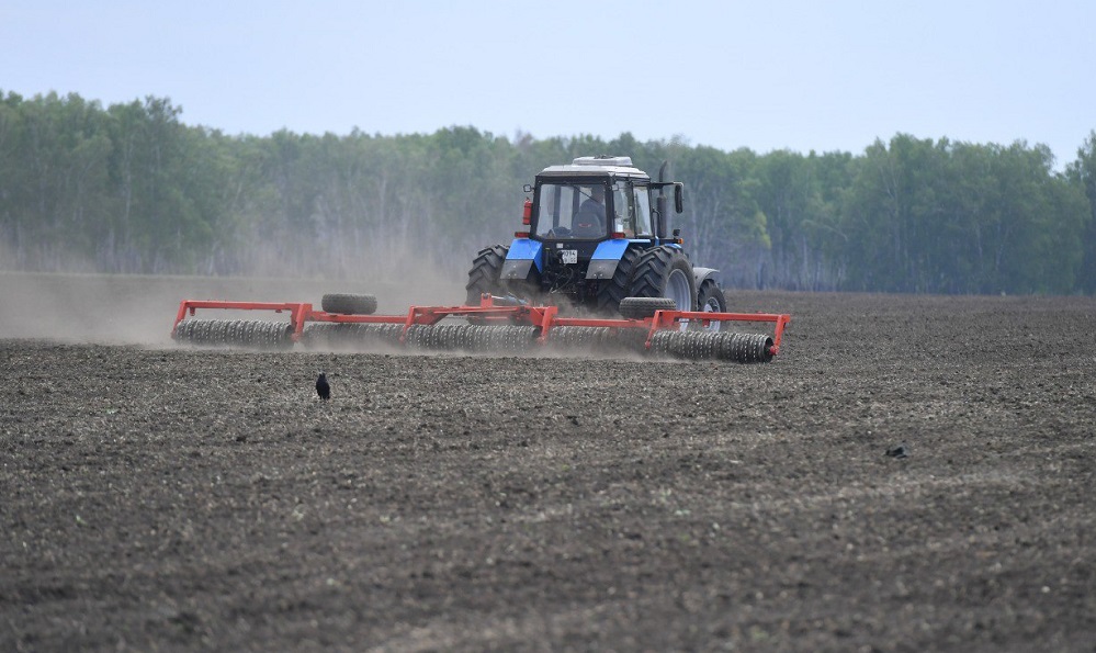 Виталий Хоценко рассказал, что к новой посевной кампании подготовлено 365 тысяч тонн семян