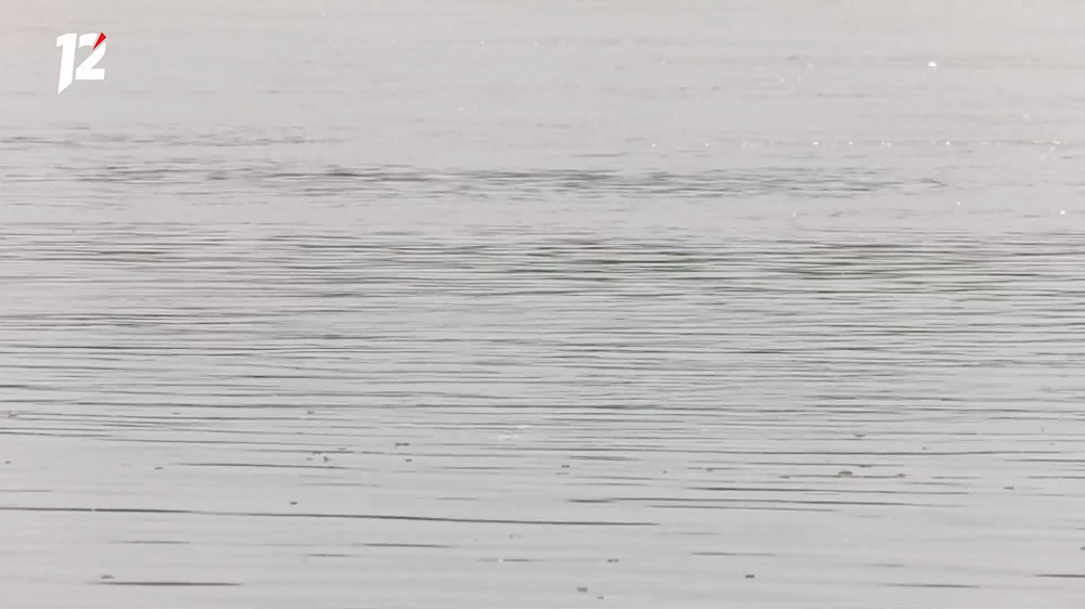 На берегу Оми обнаружили тело 42-летнего мужчины