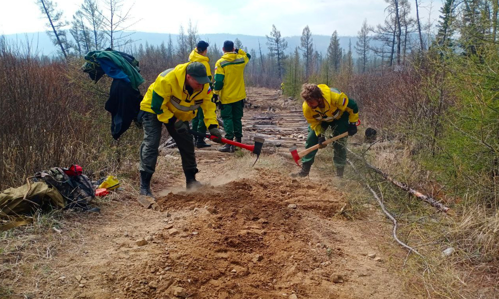 Омское авиаотделение получило оборудование для борьбы с лесными пожарами