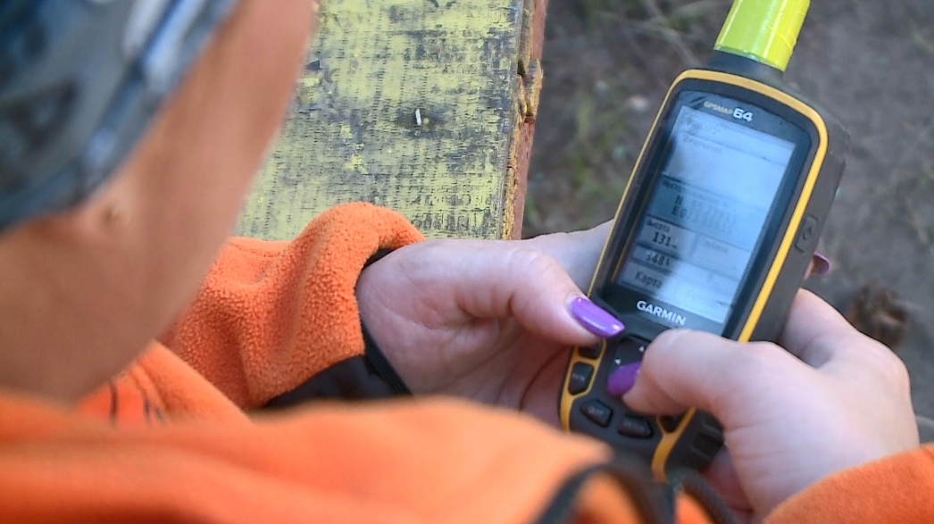 Вспоминаем громкие истории поисков пропавших в Омской области детей, которых нашли живыми