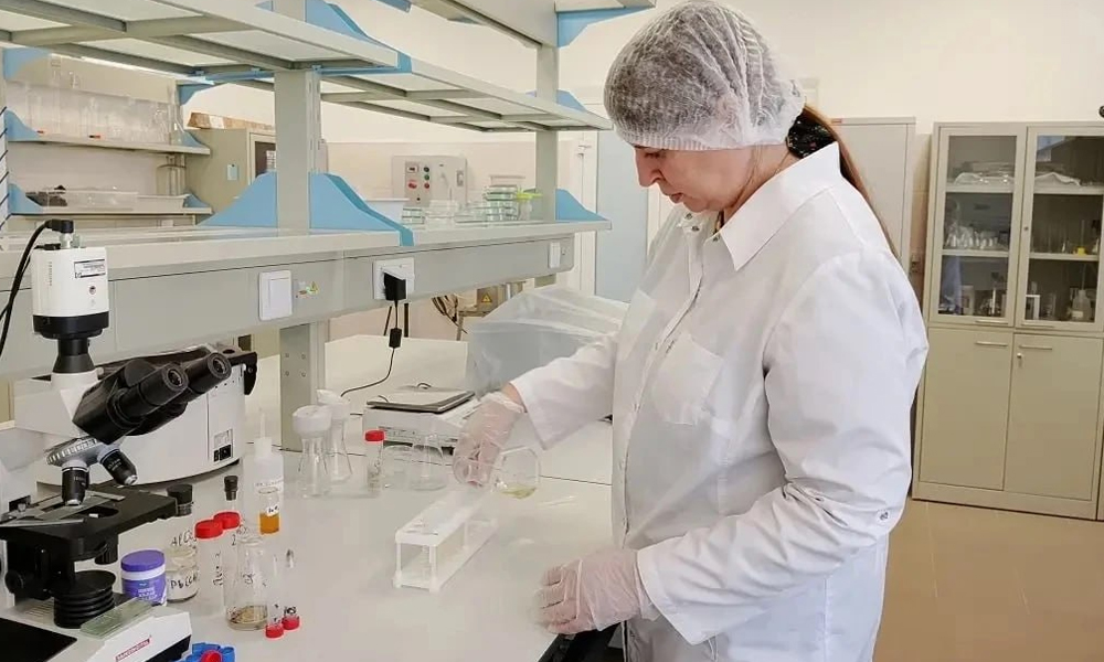 В ОмГАУ разрабатывают отечественные нутрицевтики нового поколения