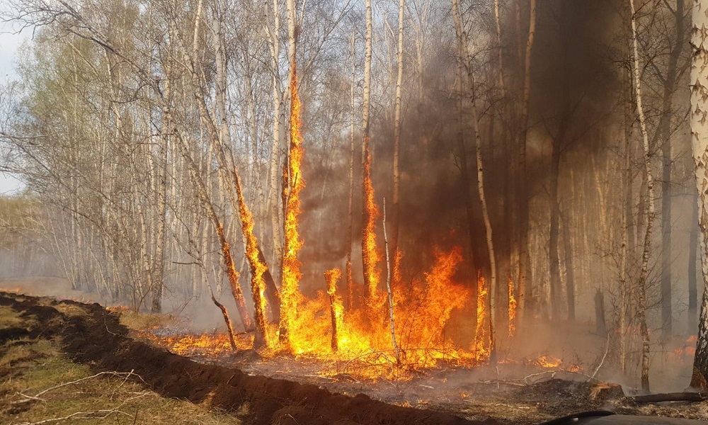 С 28 мая по 1 июня в Омской области сохранится чрезвычайная пожароопасность