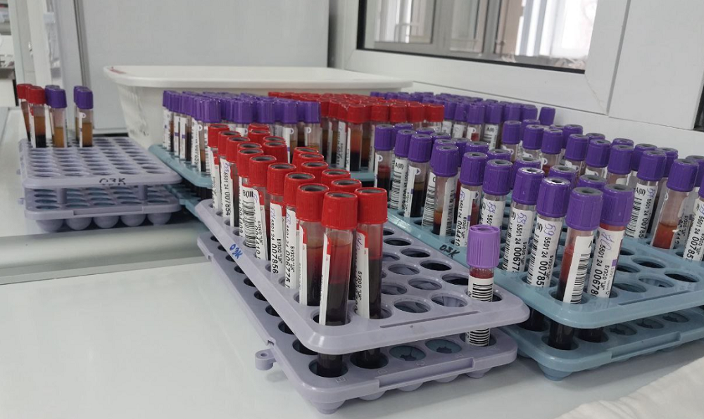 Омские студенты присоединились к донорскому движению ОНФ