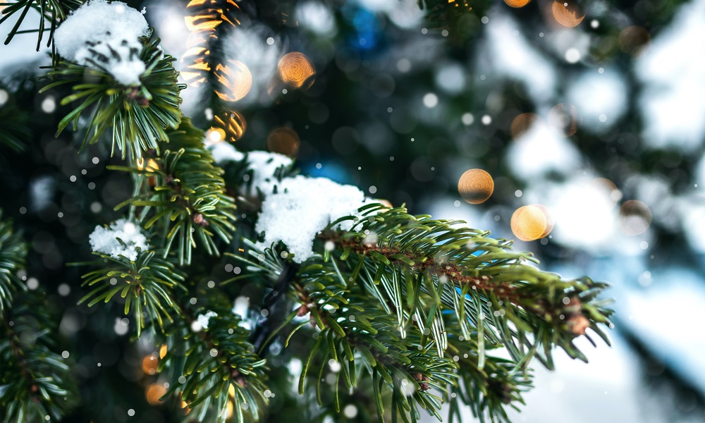 В Омской области ожидаются морозы и сильный ветер