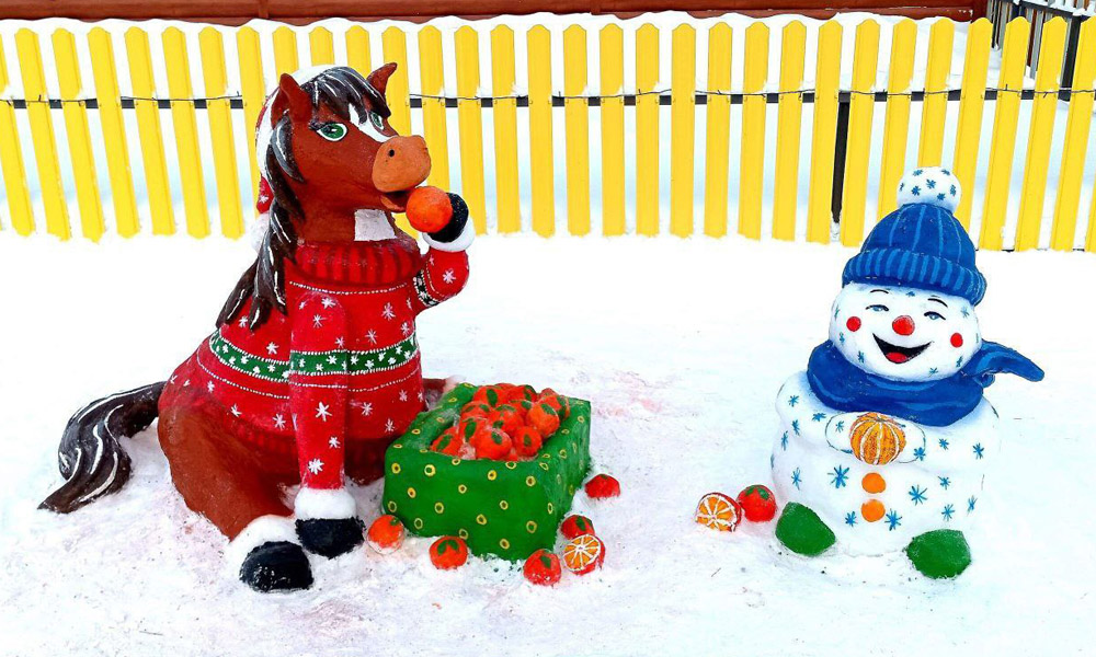 Жительница Тары украсила территорию у своего дома символом наступающего 2026 года