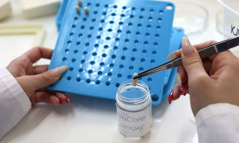 Ученые ОмГТУ создают природные антибиотики из растительного сырья