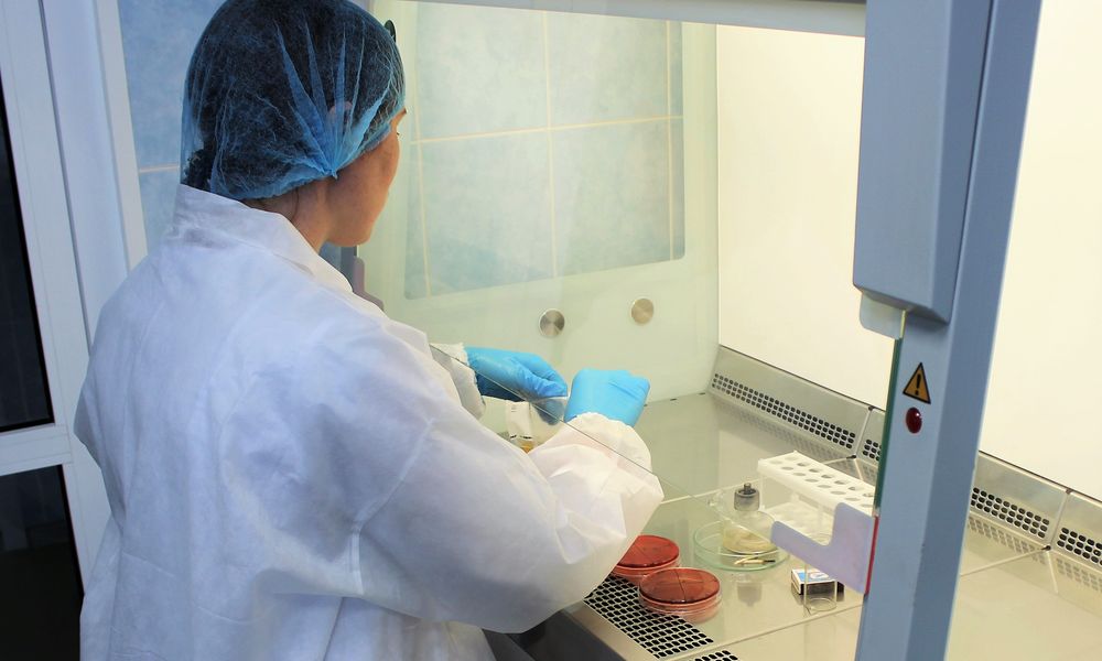 Омский референтный центр Россельхознадзора выявил золотистый стафилококк в сосисках