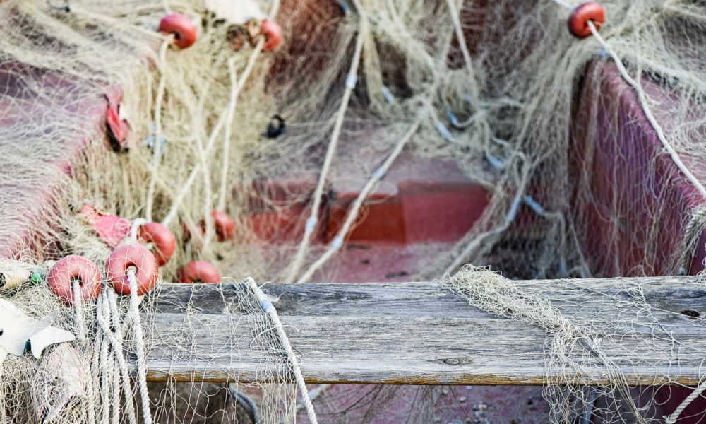 Омичи незаконно ловили стерлядь