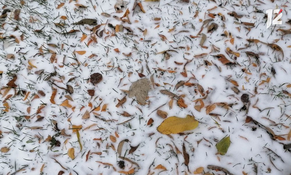 Жители Тевризского района уже лепят снеговиков