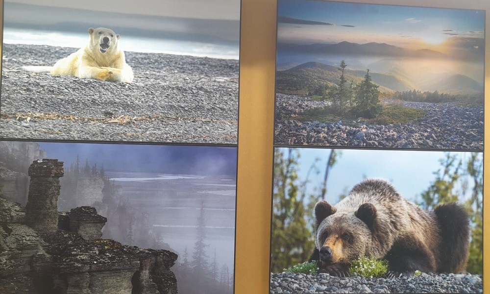 В Омском музее просвещения откроется фотовыставка, посвящённая дню рождения детского писателя Виталия Бианки