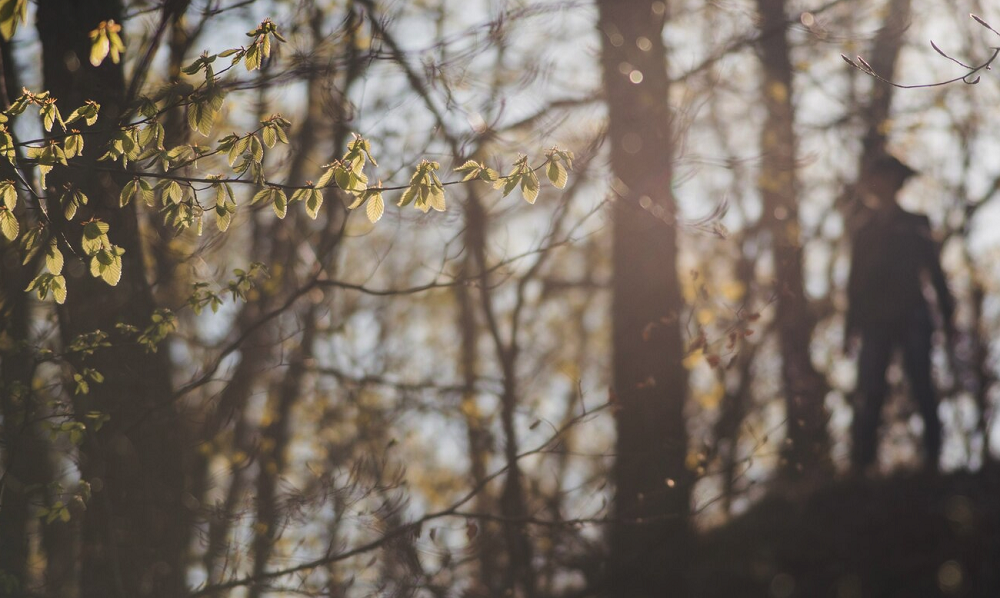 На Урале пропавшего в тайге ребёнка искали с помощью болотоходов, лодок, беспилотников и служебной собаки