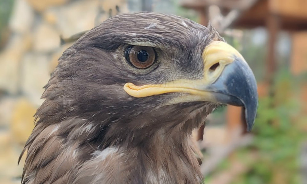 Большереченский зоопарк призвал посетителей соблюдать правила посещения территории