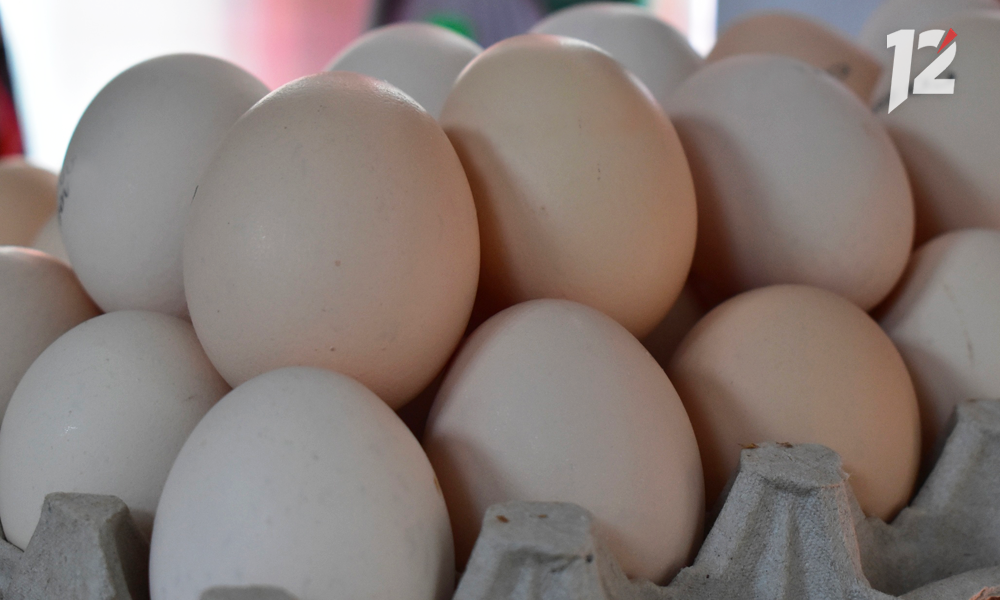 ЗАО  «Русь», занимавшееся в Омской области производством яиц, будет ликвидировано