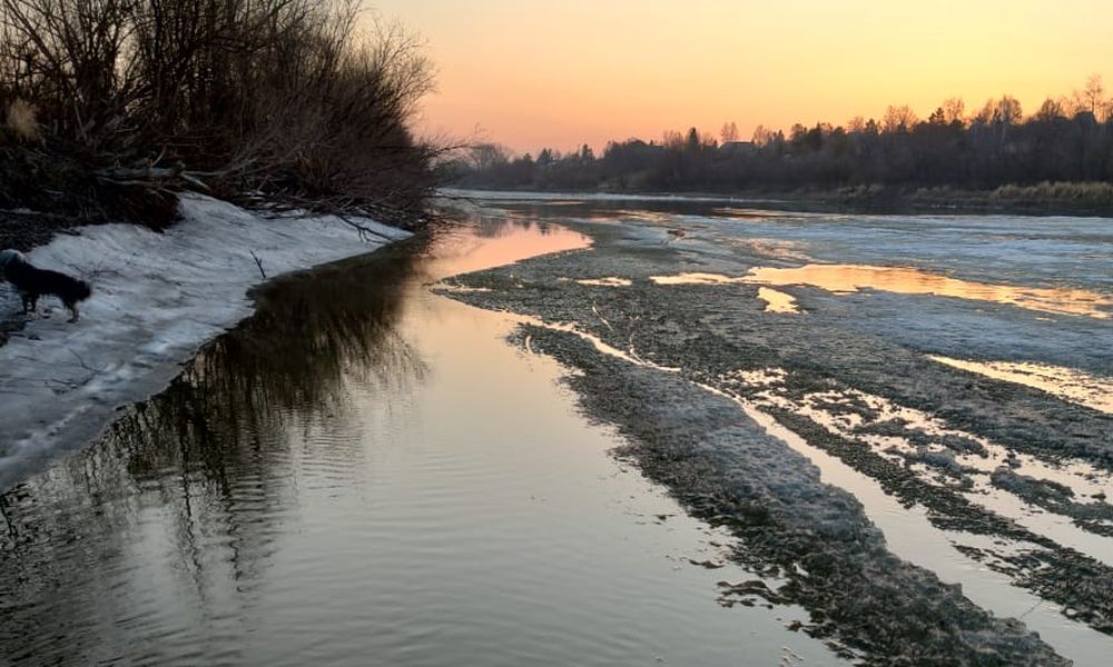 Омичам разрешат плавать по Иртышу на катерах и лодках с 1 мая