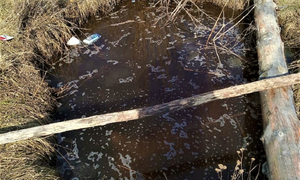 Девочке из омской деревни присудили 25 тысяч рублей из-за падения в выгребную яму