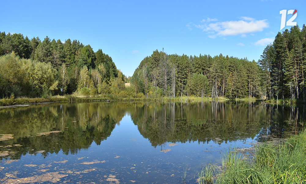 Омский природный заказник «Урочище Екатерининское» отмечает день рождения