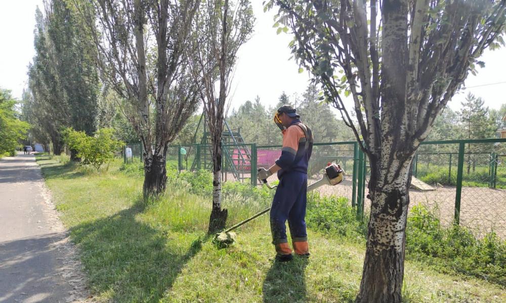 В Омске траву выкосили на площади больше 700 гектаров