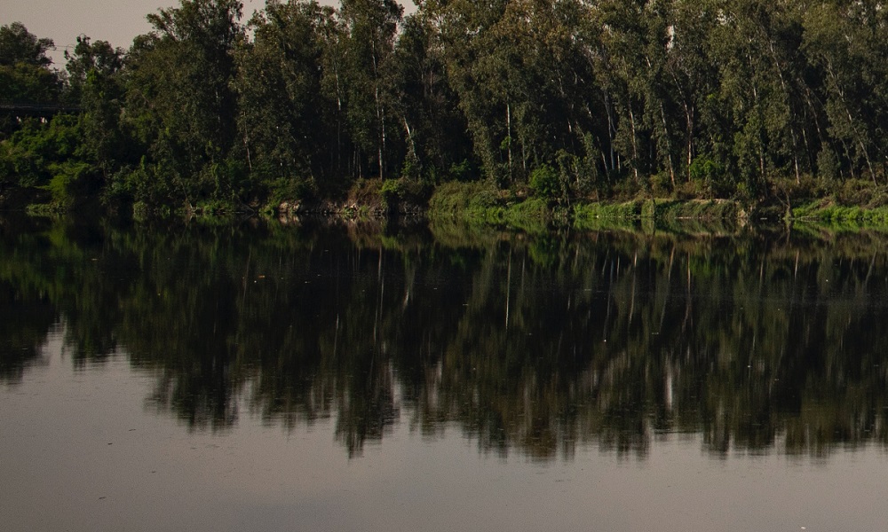 С начала 2021 года в Омске за купание в запрещённых местах оштрафовали 38 человек 