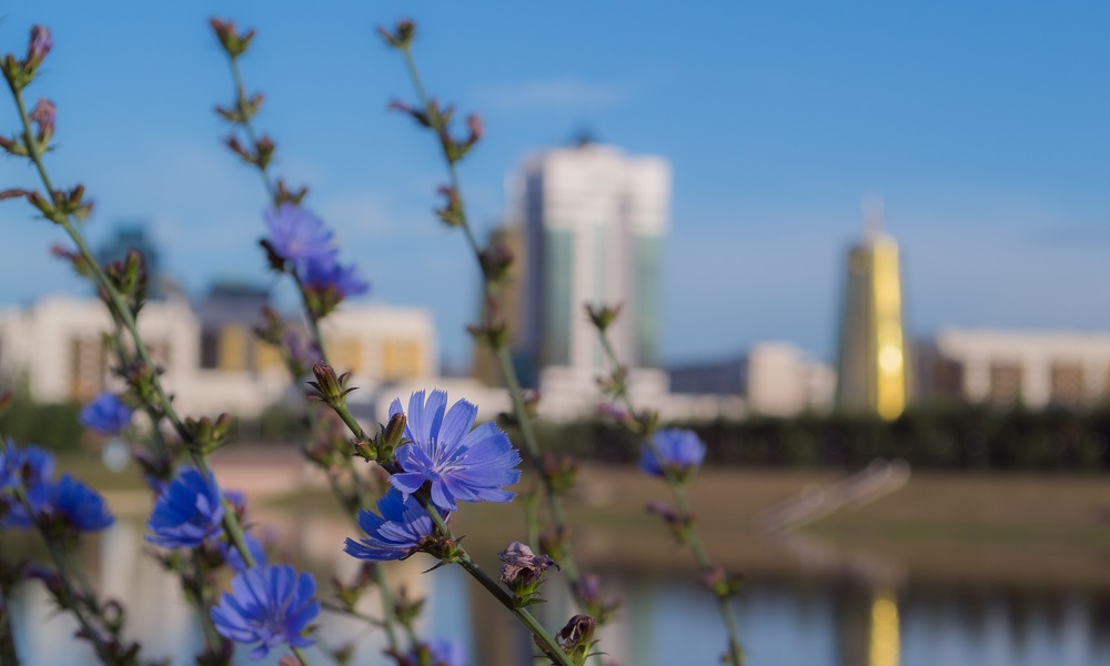 ФСБ по Омской области: в Казахстане ещё не приняли решение по открытию сухопутной границы с РФ