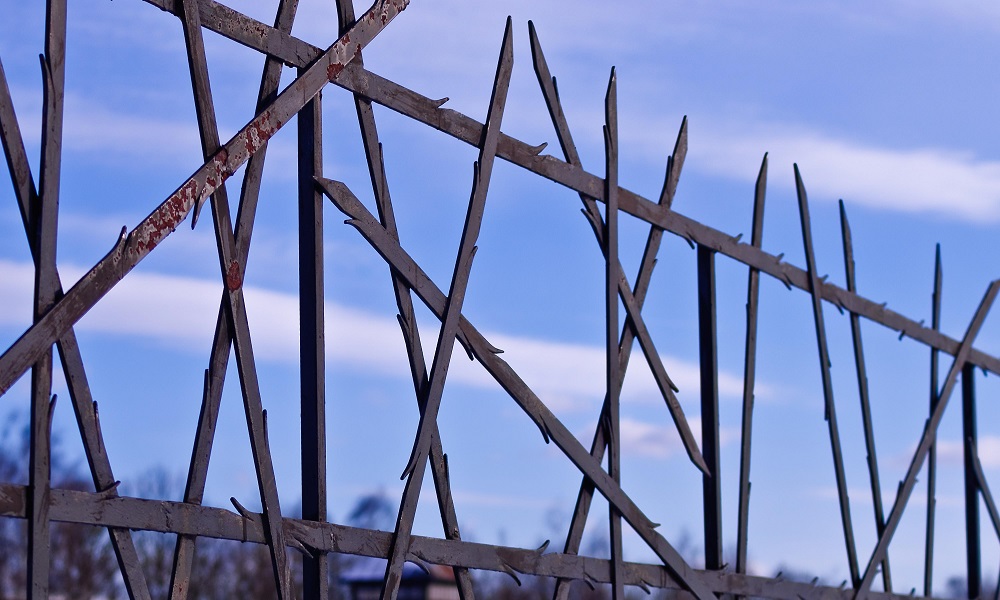 Хуже смерти: омский психолог — о травмированном сознании узников концлагерей [ИНТЕРВЬЮ]