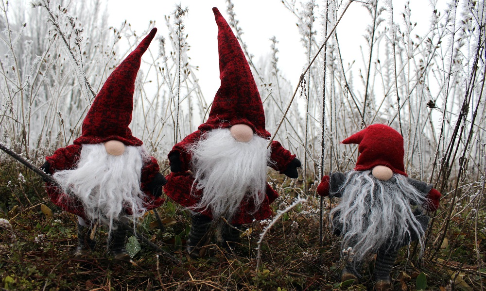 Влюблённые преступники и воры-сладкоежки: самые нелепые преступления омичей в 2021 году