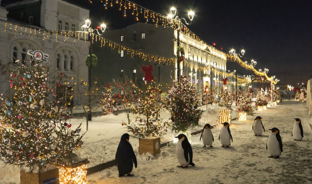 «Пингвины» в Омске: скульптура, спорт, уличное искусство