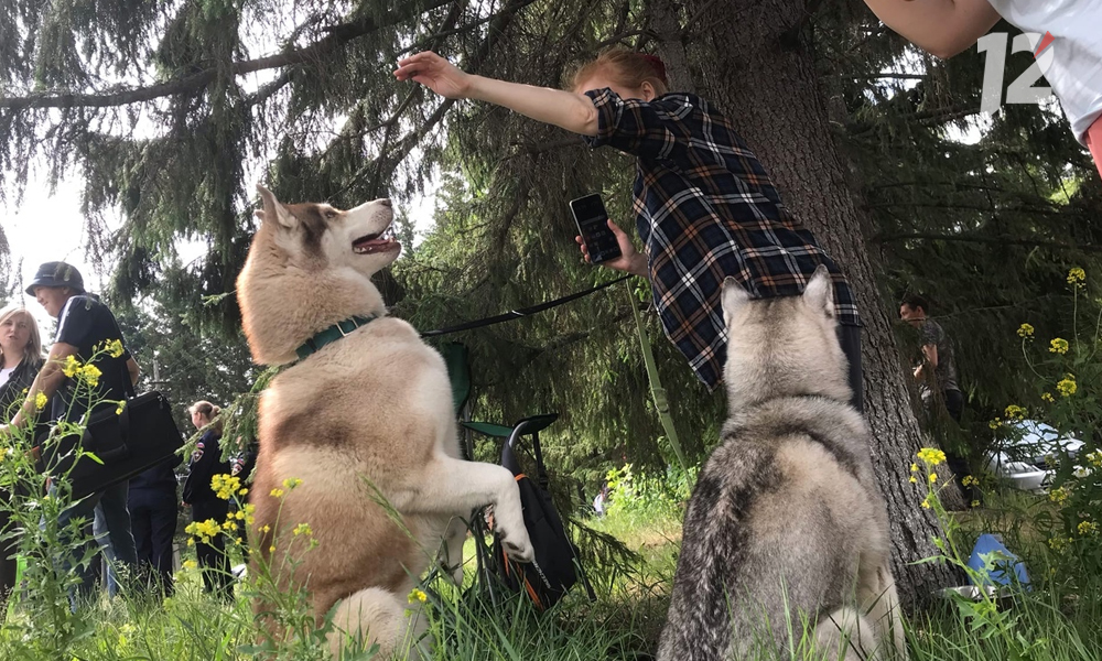 Очень много мохнатых мордочек и улыбок: в Омске состоялся «Хвостатый забег»
