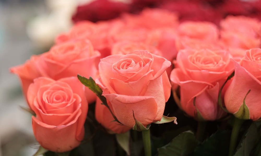 В Культурном центре подвели итоги фотоконкурса «Леди омская полиция»